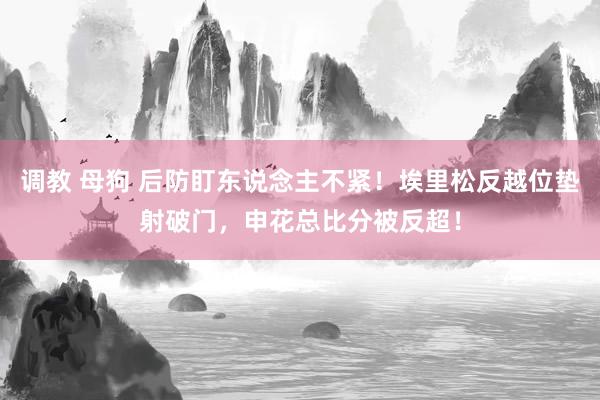 调教 母狗 后防盯东说念主不紧！埃里松反越位垫射破门，申花总比分被反超！